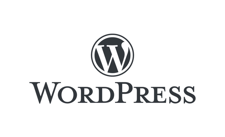 WordPress CMS als professionelle Lösung – ist das System zu unrecht verkannt?